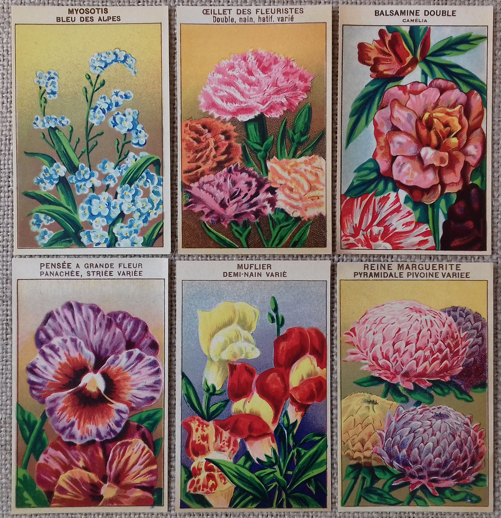Flower Seed Packets / Vintage Art Hang/gift Tags/craft Supplies