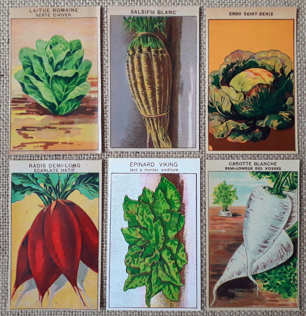 A Collection of 15 Vintage Vegetable Seed Packets